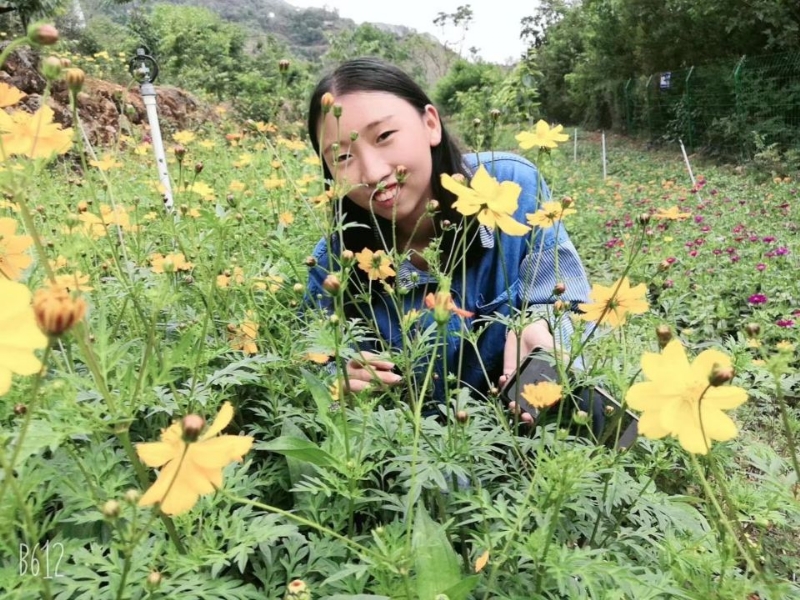 哈哈的第一张照片--云南认干亲服务网